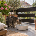 Balkon-Trinkbrunnen outdoortauglich